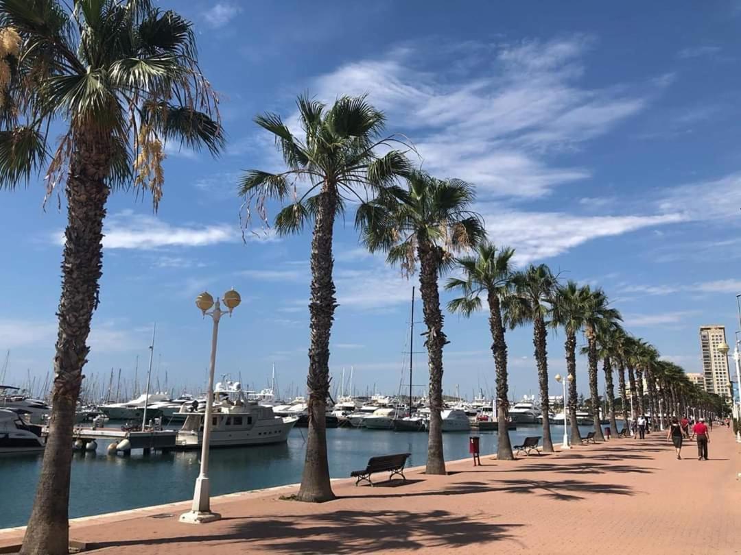 Estudio De Lujo Casaturis En El Corazon De Alicante A114 Екстериор снимка